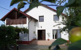 Vila Toate Panzele Sus