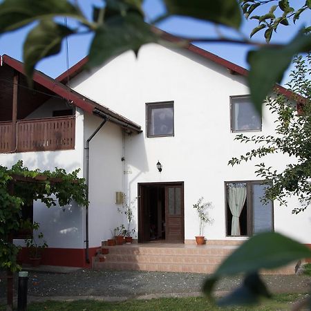Vila Toate Panzele Sus Corbu  Exterior foto